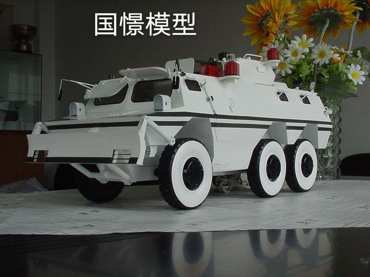 龙川县军事模型